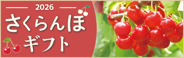 さくらんぼギフト2025