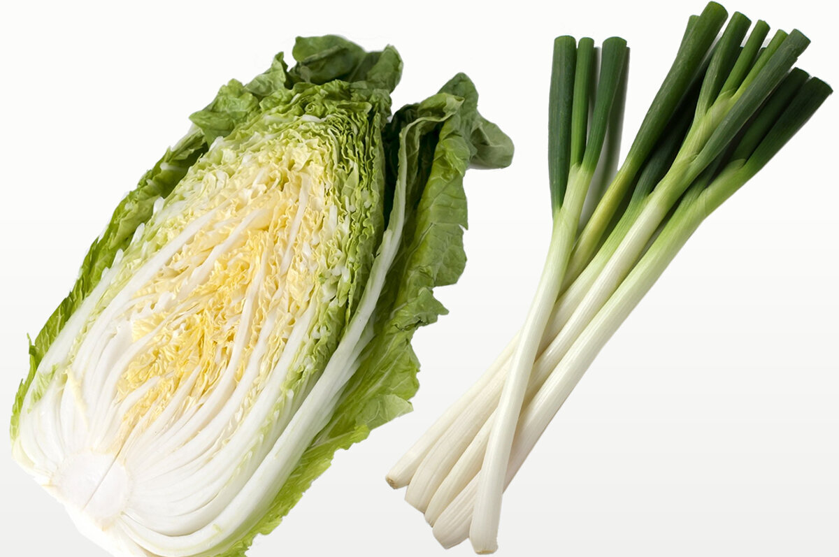 長ねぎ（分類：ユリ科ネギ属）／はくさい（分類：アブラナ科アブラナ属）