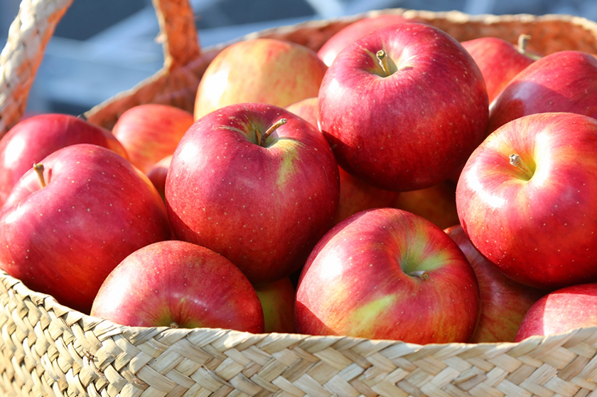 りんご（分類：バラ科リンゴ属）