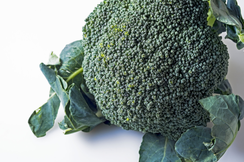 ブロッコリー（分類：アブラナ科アブラナ属）