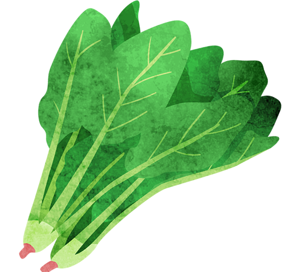 ほうれん草イラストイメージ