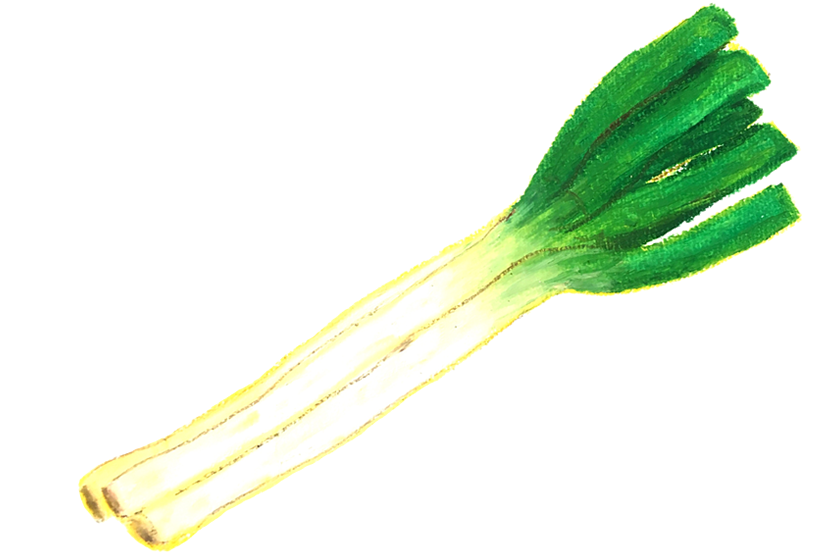 長ネギのイメージ