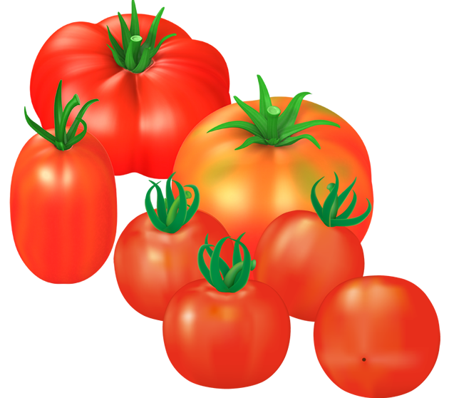 トマトのイメージ