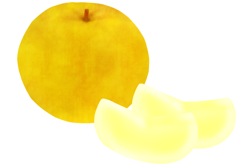 pic_column_nashi.png