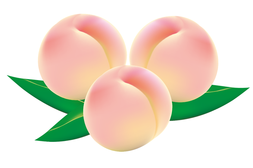 桃のイラスト