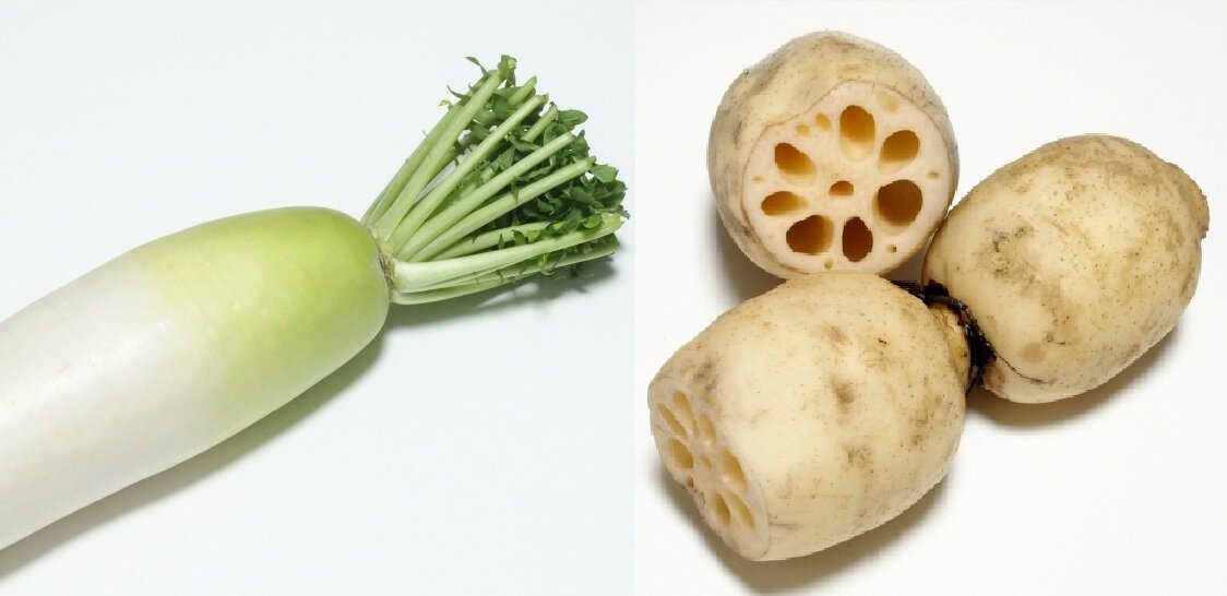 だいこん（分類：アブラナ科ダイコン属）・れんこん（分類：ハス科ハス属）