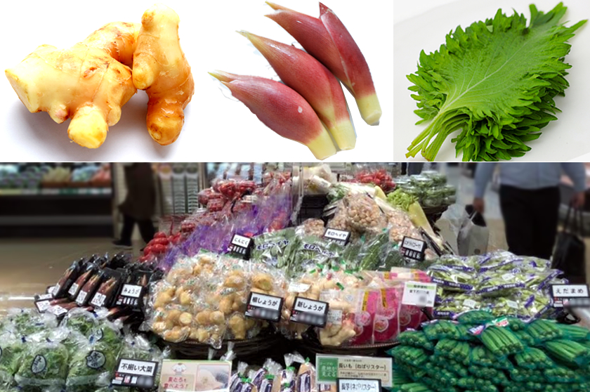 香味野菜・おくら・長いも
