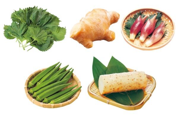 香味野菜・おくら・長いも